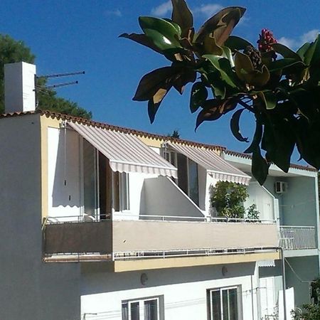 Apartmani Carevic Baška Voda Dış mekan fotoğraf