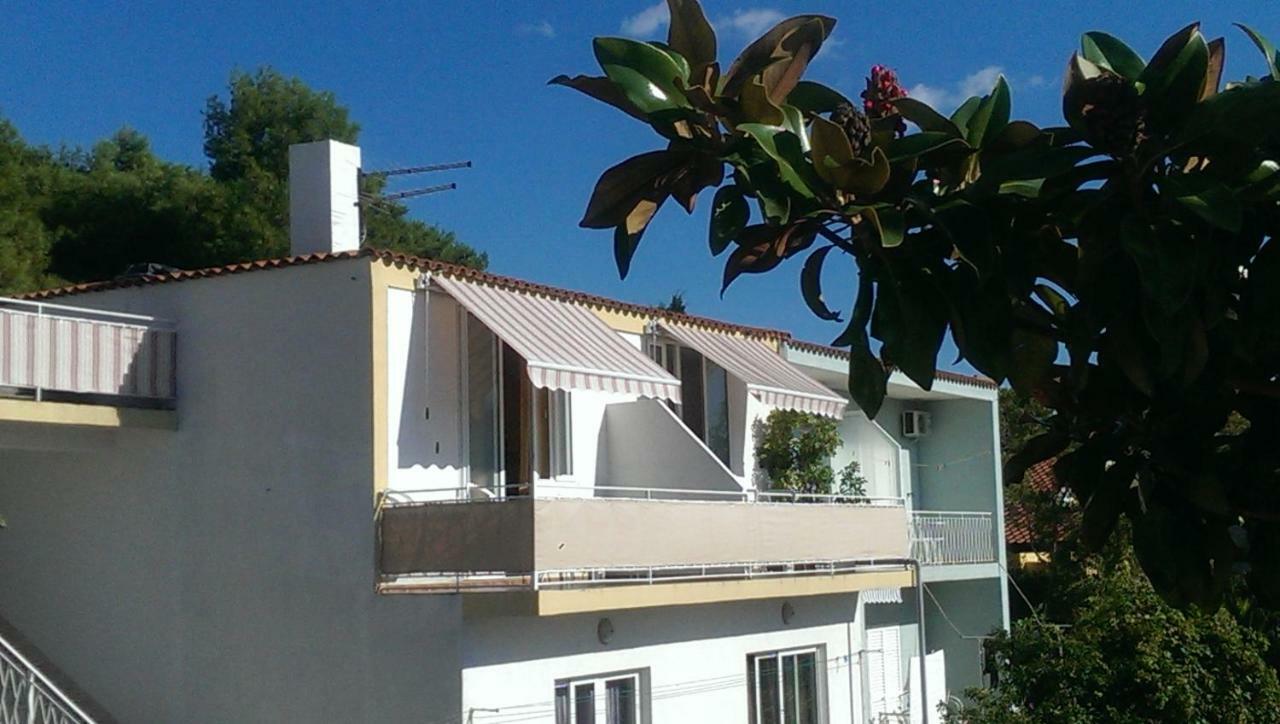 Apartmani Carevic Baška Voda Dış mekan fotoğraf
