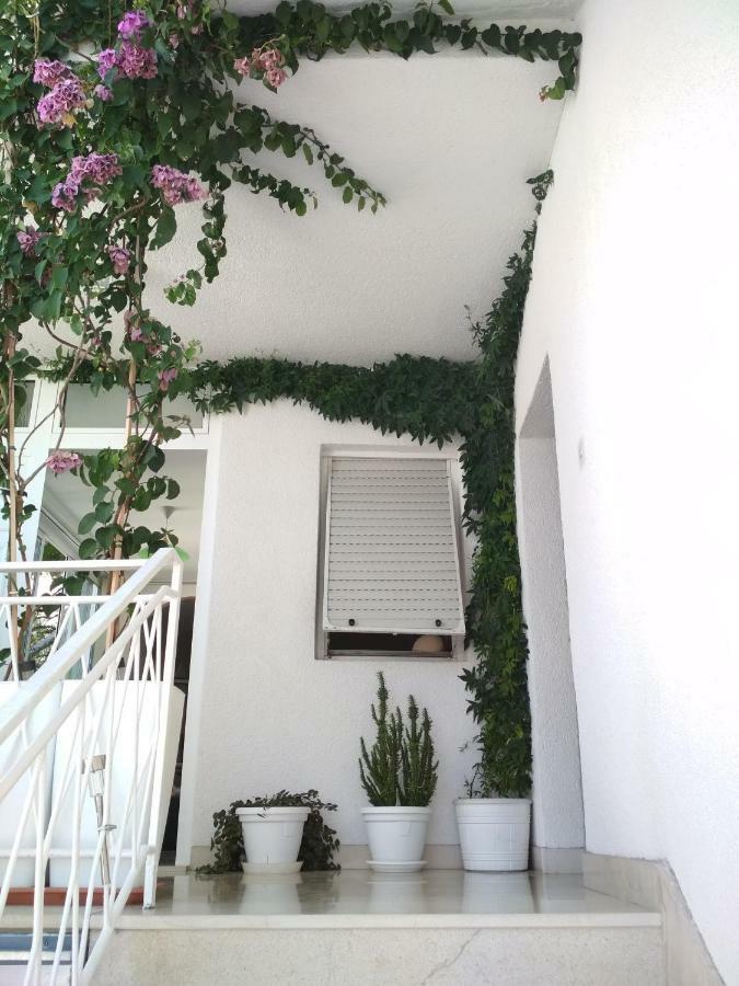 Apartmani Carevic Baška Voda Dış mekan fotoğraf
